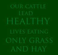 healthy cattle